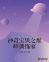神奇宝贝之巅峰训练家