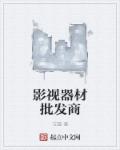 我能帮你加点